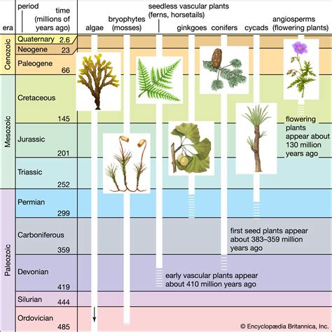 origin of land plants.